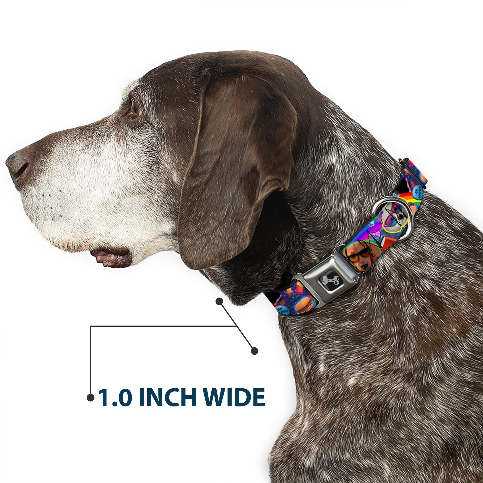Buckle-Down Seatbelt Buckle Dog Collar - Rainbow Collage Design - 1