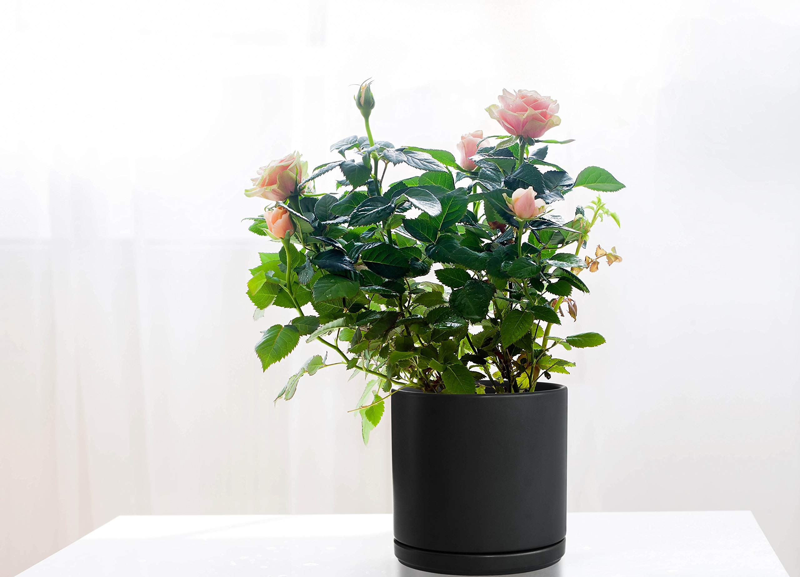 D'vine Dev 8 & 10 Inch Ceramic Plant Pots with Drainage Hole and Saucer - Large Black Flower Planters for Indoor Outdoor Home Garden Decor (Set of 2)