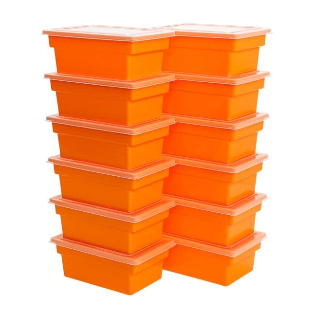 All-Purpose Storage Bins with Lids - Set of 12 in Single Color | Durable Plastic Organizers for Home, Office & Classroom Organization | Perfect for Toys, Books, Supplies & More