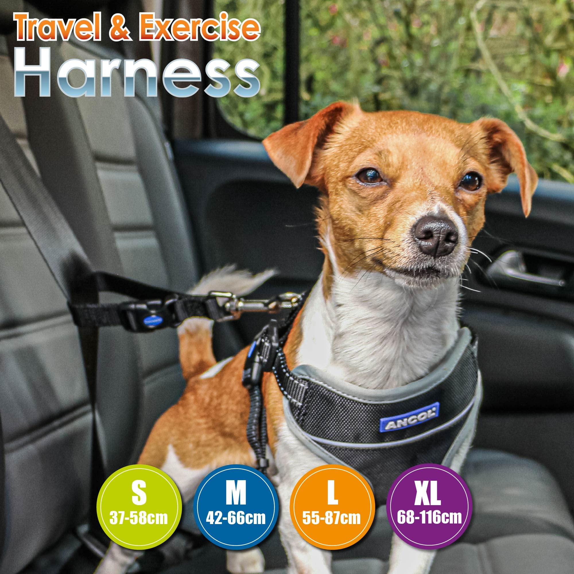 Best Adjustable Travel Dog Harness for Large Dogs (68-116cm) - Black - Perfect for Hiking, Camping & Outdoor Adventures