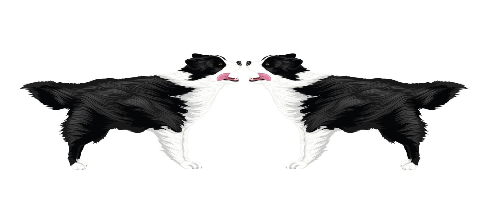Custom Border Collie Dog Decal Sticker - Removable Vinyl for Laptop, Car, Window - Perfect for Pet Lovers & Dog Owners