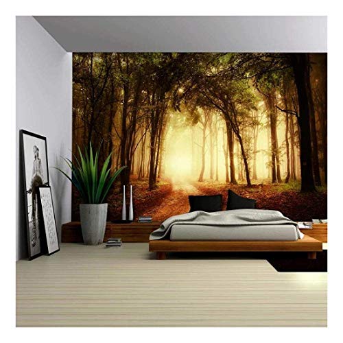 Pathway in a Forest