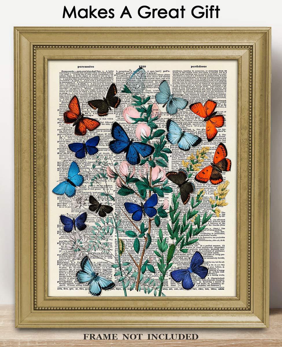 Butterflies and Moths Dictionary Wall Art Print - 8x10 Unframed Nature Poster for Home Decor, Living Room, Bedroom & Office