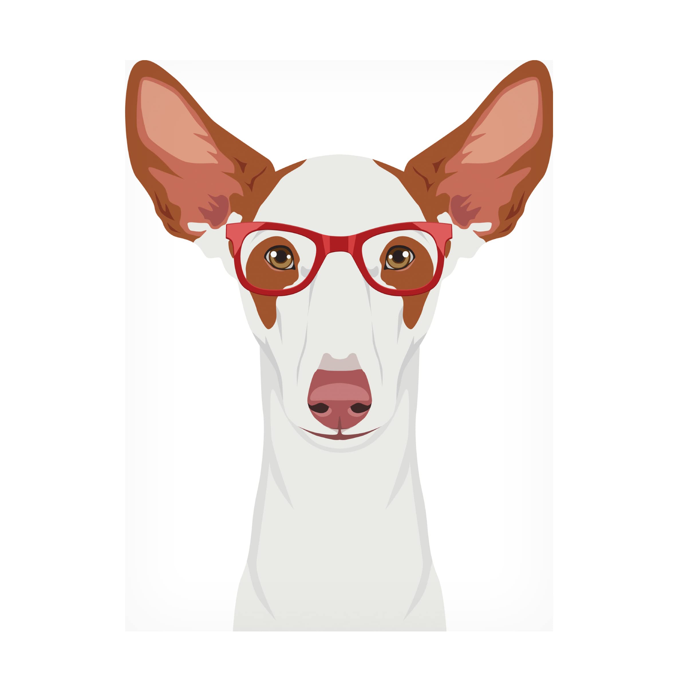 Trademark Fine Art 'Ibizan Hound Wearing Hipster Glasses' Canvas Wall Art Print - Modern Dog Portrait for Living Room, Bedroom & Office Decor