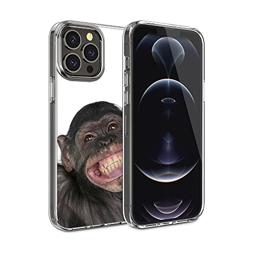 Funny Cute Monkey