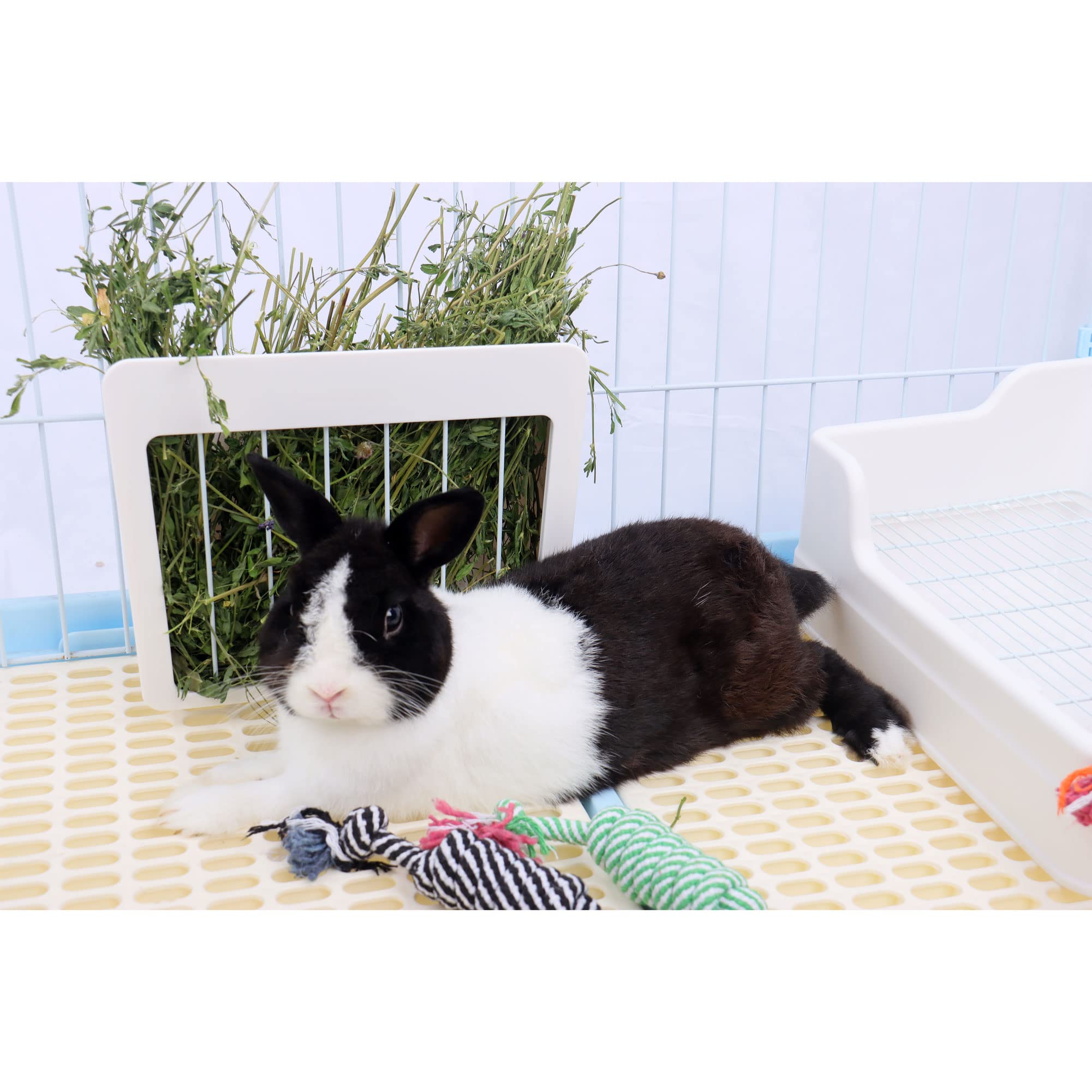 Premium Rabbit Hay Feeder Rack - Durable Small Animal Food Dispenser for Rabbits, Guinea Pigs, Chinchillas & Hamsters - Reduce Waste & Mess - Perfect for Cages, Hutches & Indoor/Outdoor Use