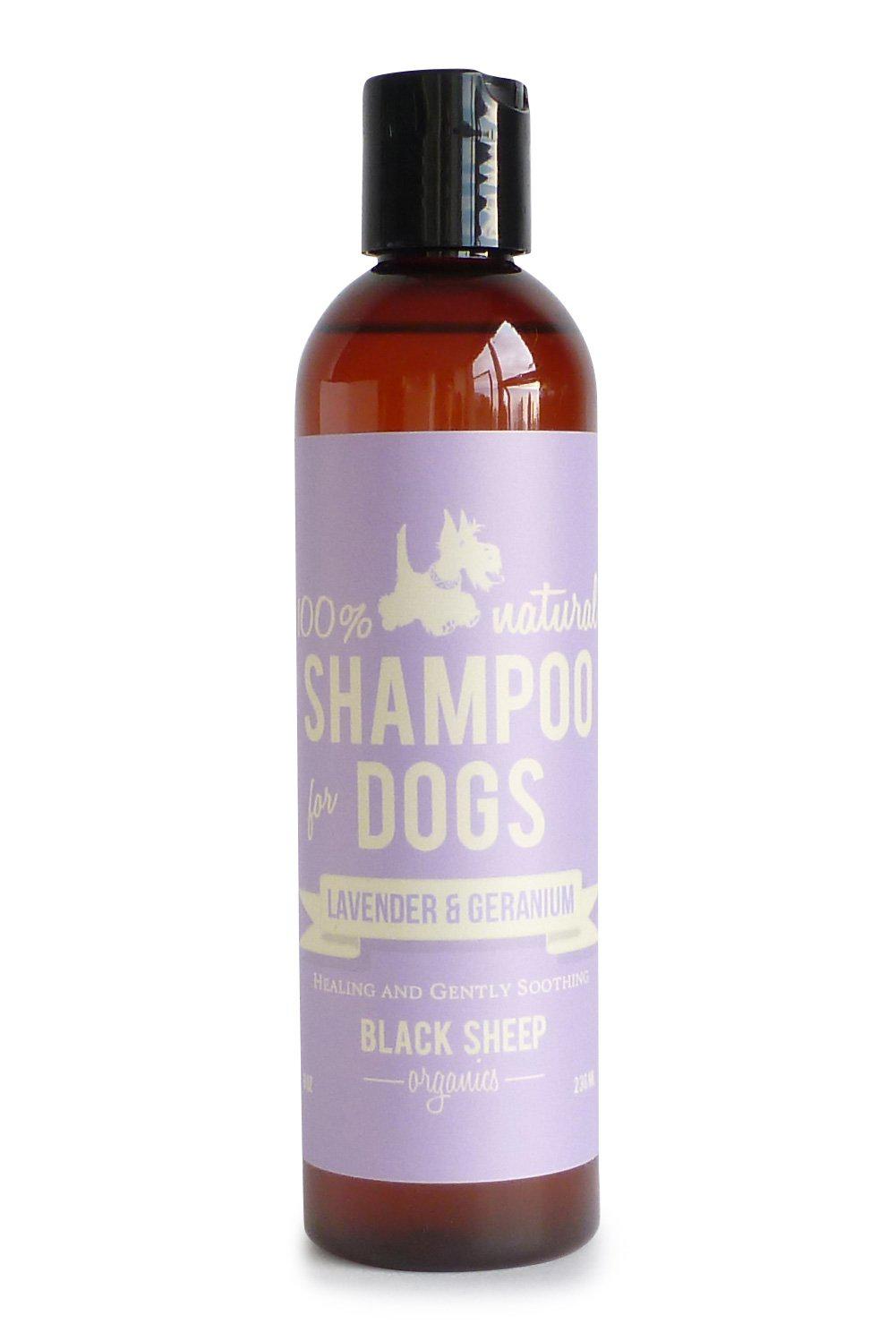 Organic Lavender & Geranium Shampoo for Dry Scalp - Healing & Soothing Hair Care - Perfect for Sensitive Scalp & Daily Relaxation