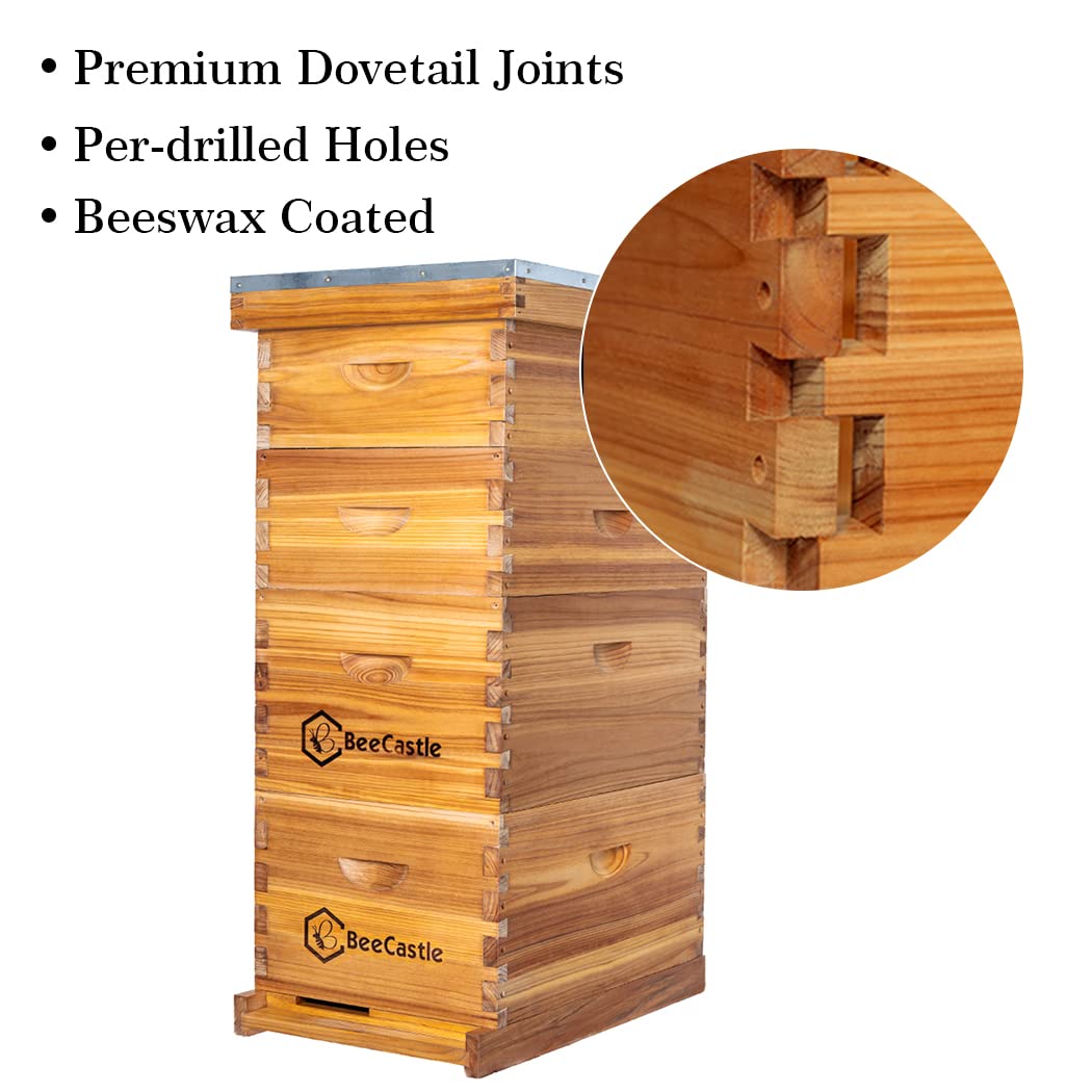 BeeCastle 8 Frame Langstroth Bee Hive Kit - 100% Beeswax Coated with 2 Deep & 2 Medium Boxes, Frames & Waxed Foundations - Perfect for Beekeeping Beginners & Honey Production