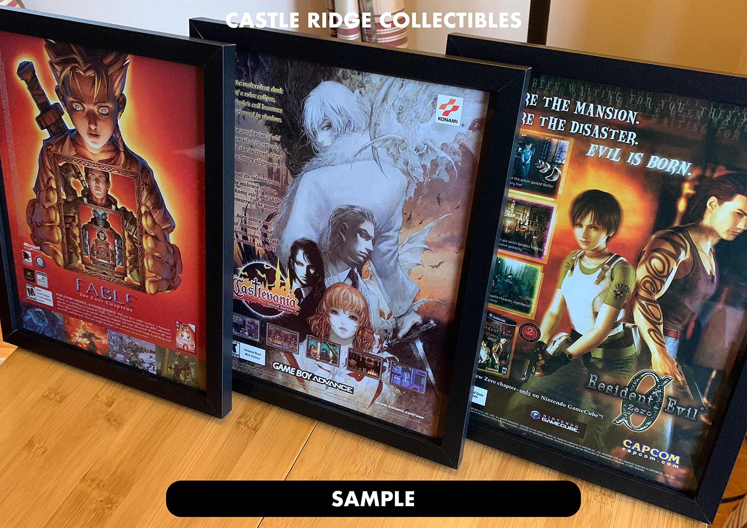 Blinx: The Time Sweeper Original Xbox Framed Poster - Authentic Promo Art for Gaming Room Decor & Collector's Display