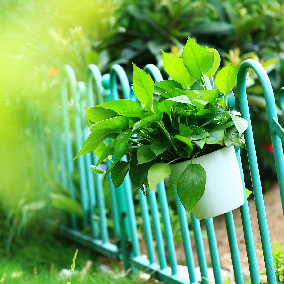 6 Pack 5 Inch Self Watering Plastic Hanging Planters - Wall Mounted Wicking Flower Pots for African Violets, Spider Plants, Orchids - Indoor & Outdoor Use - Perfect for Balconies, Patios, and Small Space Gardening