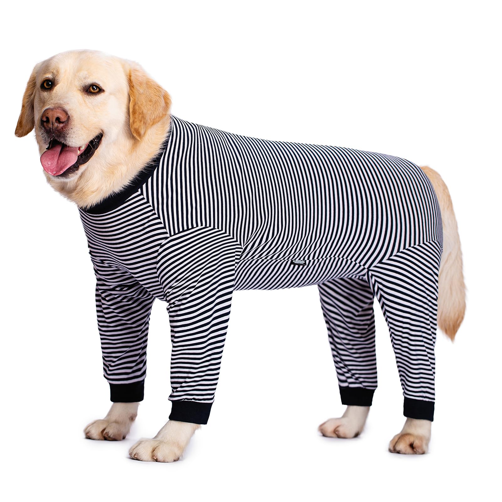Post Surgery Dog Onesie with Zipper - Full Body Dog Recovery Suit for Large & Medium Dogs - Male/Female Dog Surgery Suit After Spay - Soft Dog Pajamas for Wound Protection & Comfort - Ideal for Post-Op Care, Wound Healing & Stress Relief