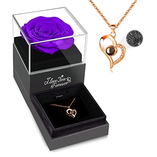 B1_Purple Rose