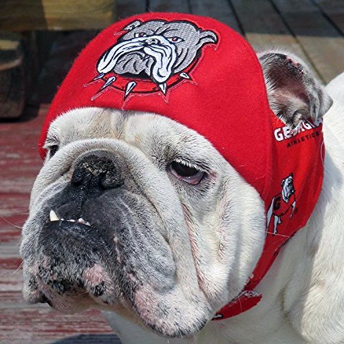 Bulldog Patch Embroidered Iron-On Applique for Jackets & Hats - English Bulldog Canine Souvenir for DIY Crafts & Fashion Accessories