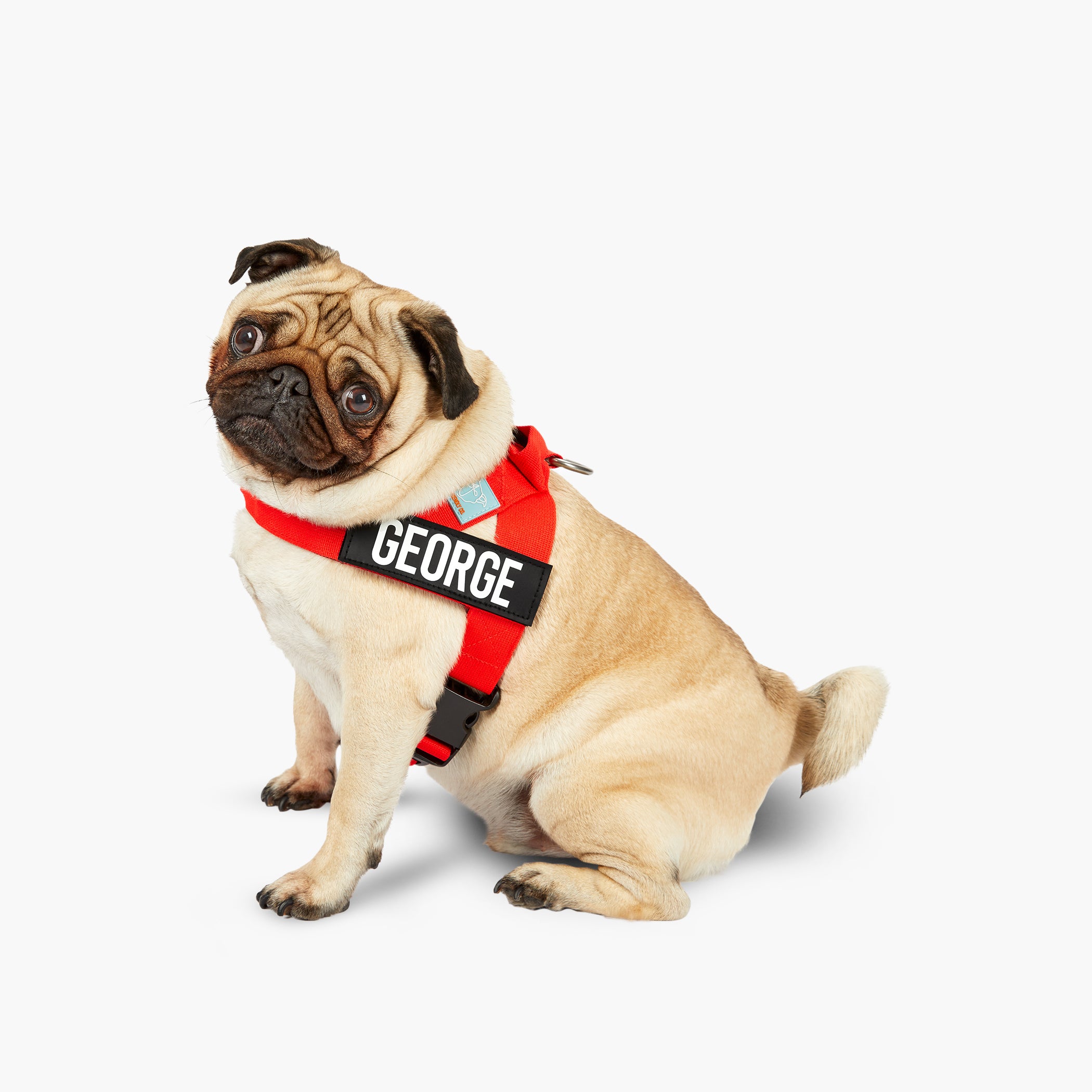 Premium No-Pull Dog Harness with Padded Chest - Adjustable & Reflective for Small to Large Dogs - Perfect for Walking, Running & Outdoor Adventures
