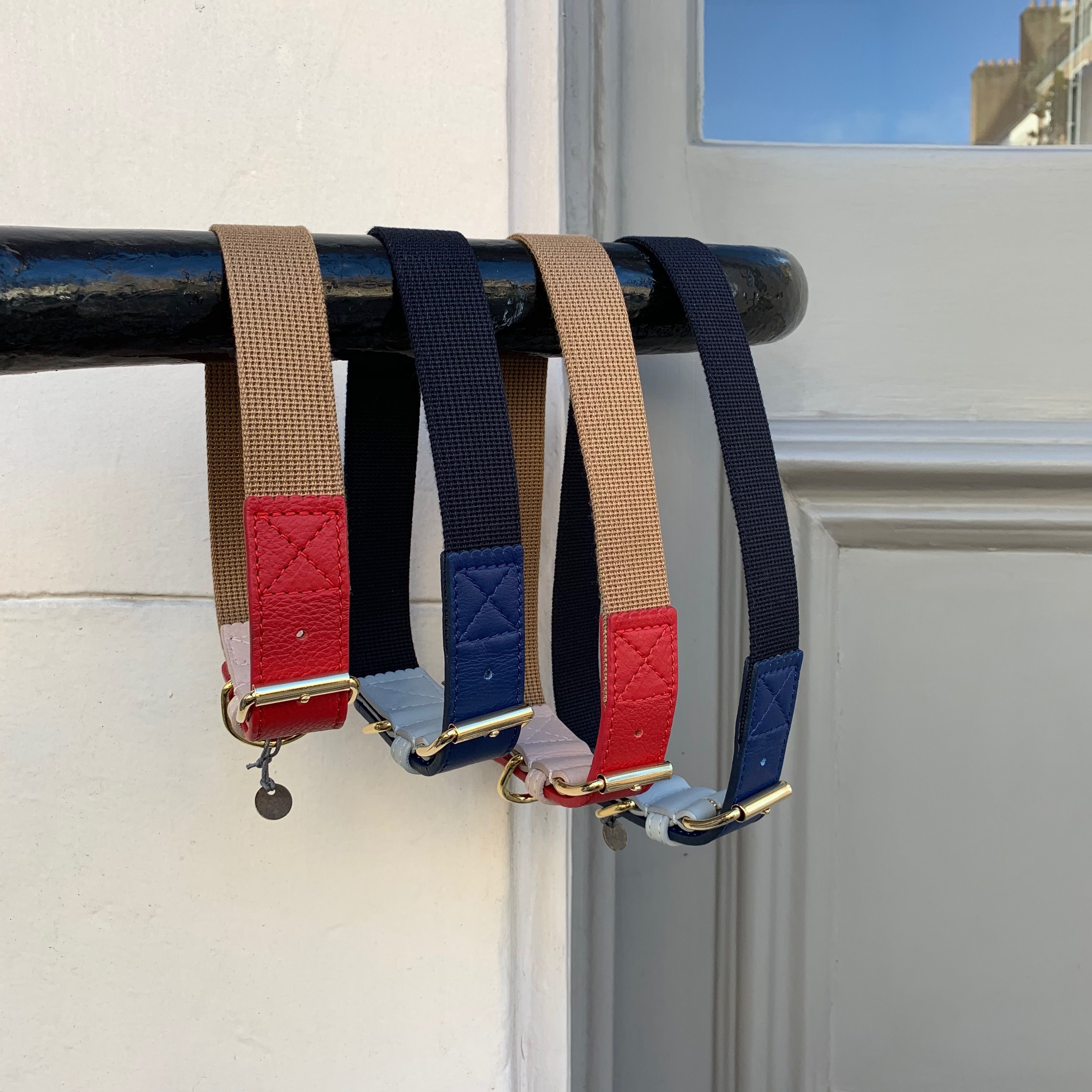 Amalfi Dog Collar - Premium Adjustable Nylon Pet Collar with Metal Buckle for Small Medium Large Dogs - Perfect for Walking, Training, and Outdoor Adventures