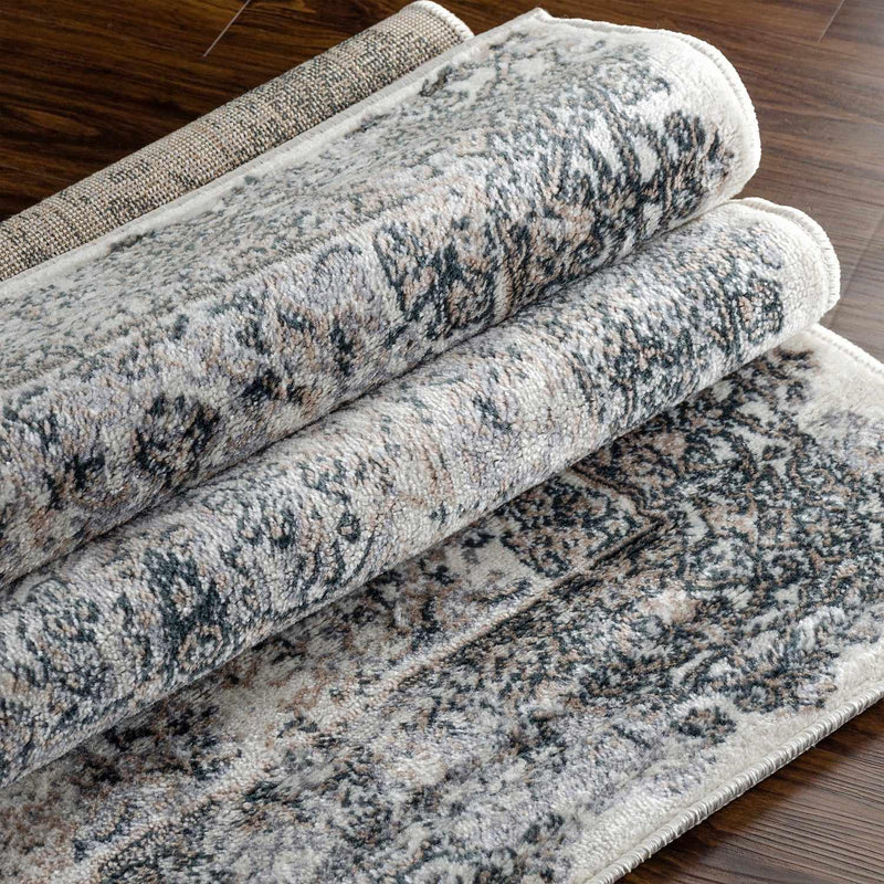 Myel Classic Medallion Indoor Area Rug - Non-Slip Traditional Persian Design Runner Rug for Living Room, Bedroom & Hallway