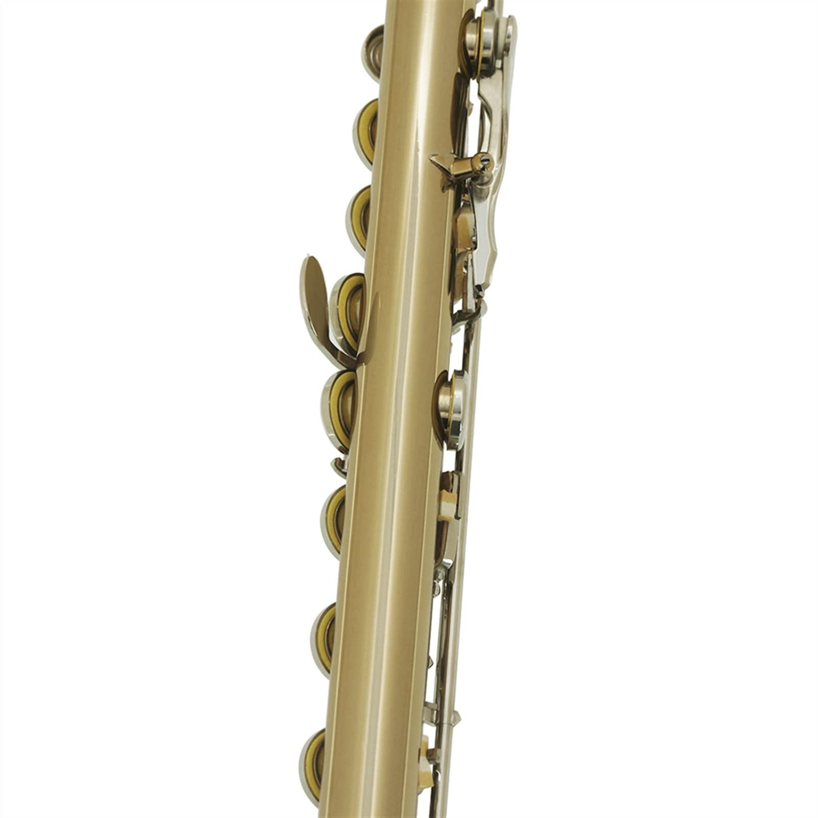 Zengxue 16-Hole Closed C Key Golden Silver Flute for Kids - Professional Wind Musical Instrument with Gloves and Case - Perfect for Beginners, School Bands & Music Lessons