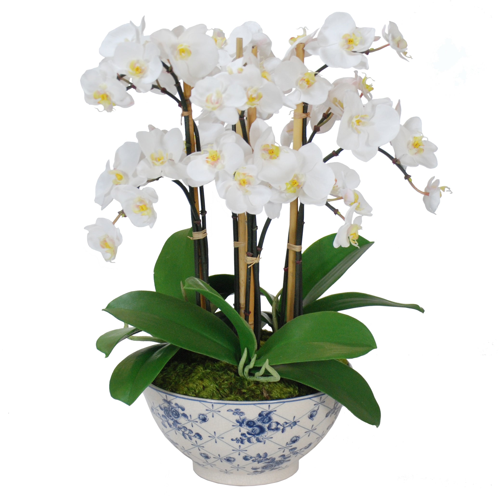 Beautiful Orchid in Rose Trellised Bowl - Elegant Home Decor for Living Room, Office & Wedding Centerpieces