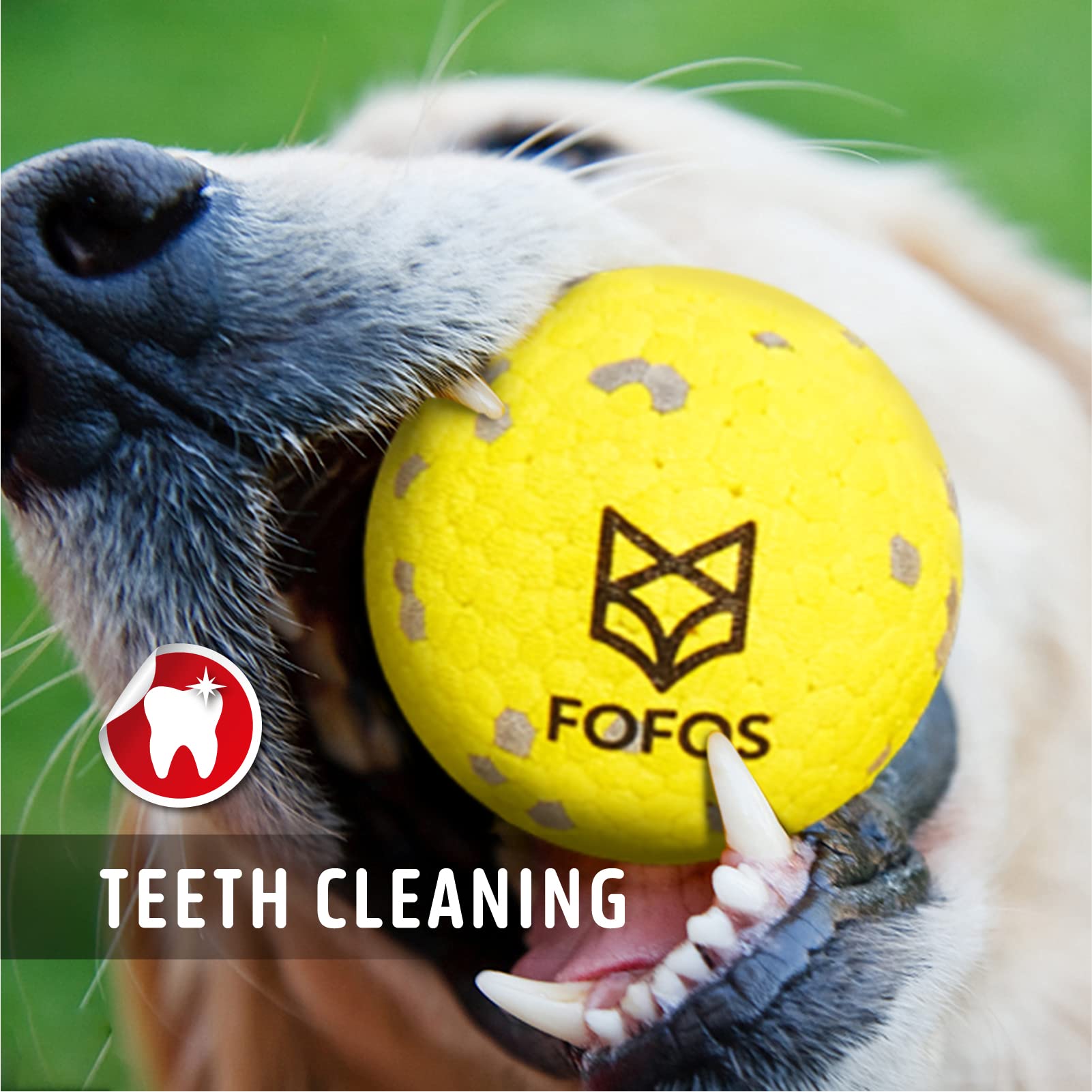 Durable Dog Chew Toys for Aggressive Chewers - 4 Pack Tennis Balls for Large, Medium Dogs & Puppies - Interactive Fetch, Teething Molar Toys, Water Play - Perfect for Outdoor Play, Training & Bonding (2.75 Inch)