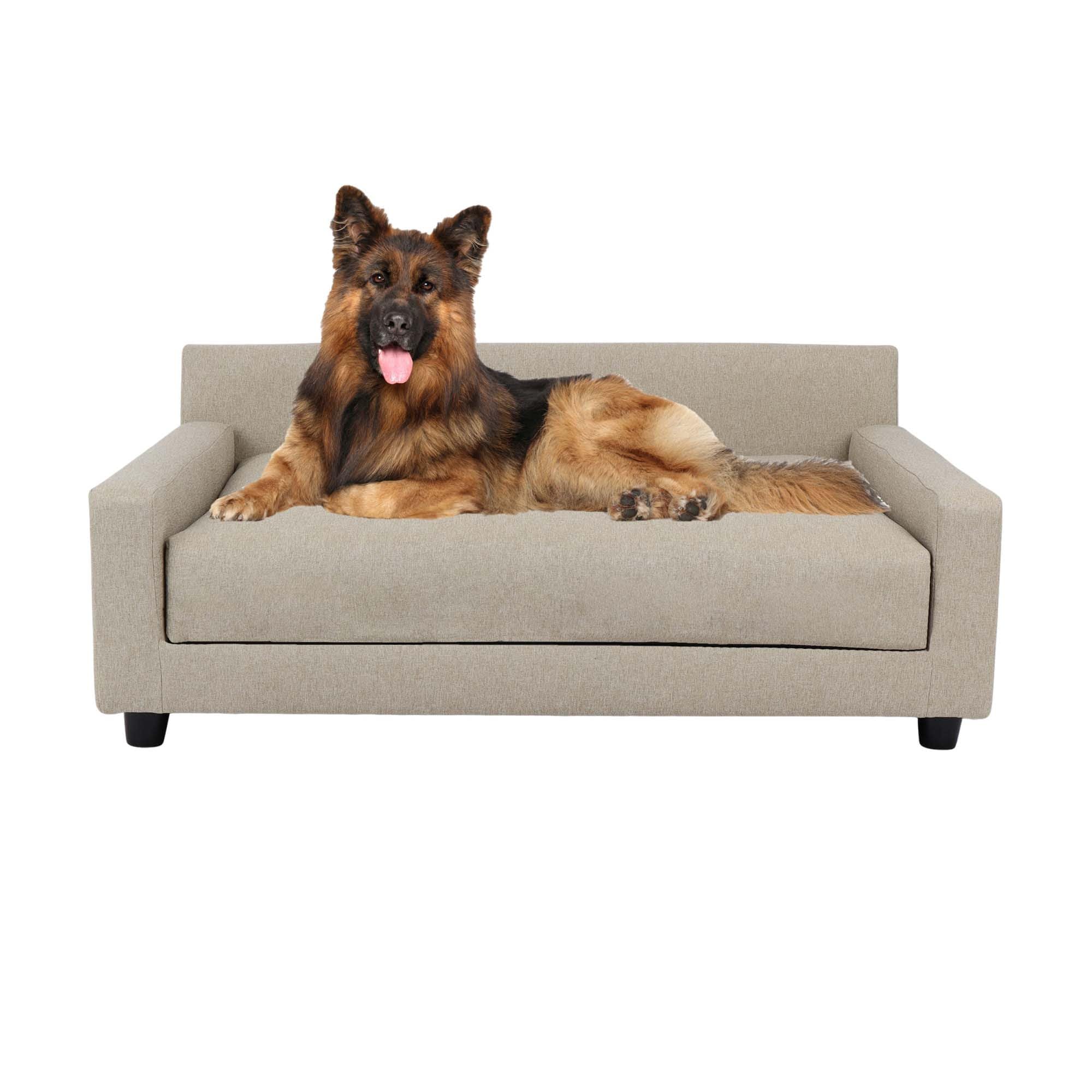 Club Nine Pets Orthopedic Dog Bed for Large Dogs - Memory Foam Support, Waterproof Cover, Oatmeal Color - Perfect for Senior Pets & Joint Pain Relief - Ideal for Living Room, Bedroom, or Crate Use
