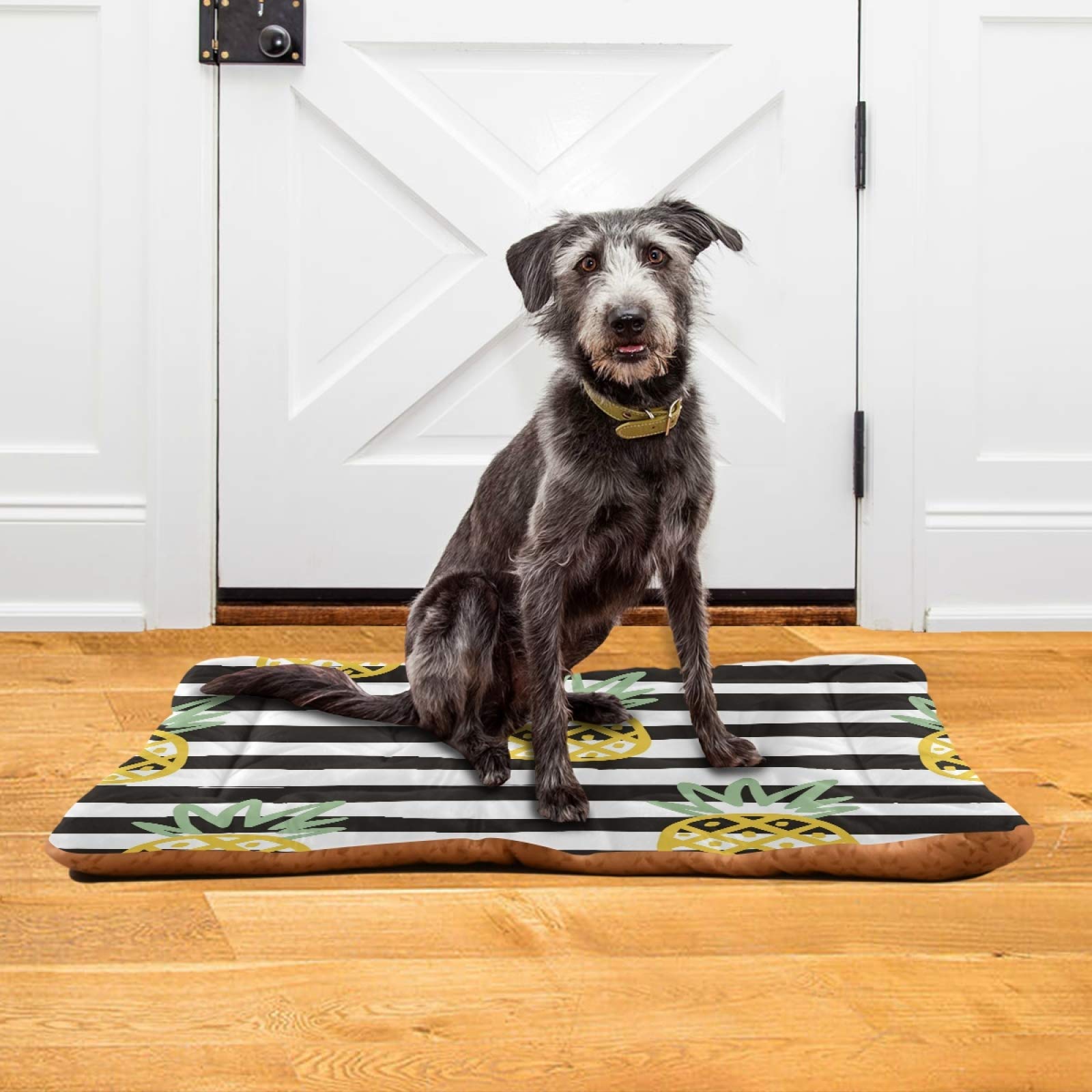 Pineapple Print Pet Bed for Dogs & Cats - Ultra Soft Rectangle Comfort Bed for Small, Medium, Large Pets (36x24 Inches) | Cozy Sleeping Spot for Bedroom, Living Room & Travel