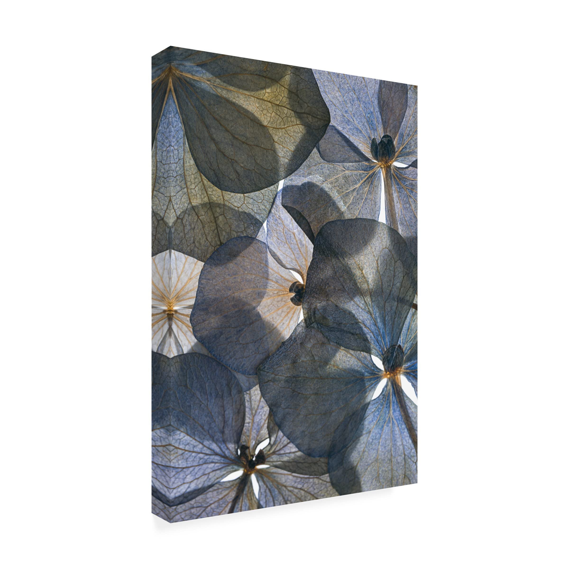 Lenka's 'Botanical 26' Floral Canvas Wall Art Print - Modern Home Decor for Living Room, Bedroom & Office | Trademark Fine Art Collection