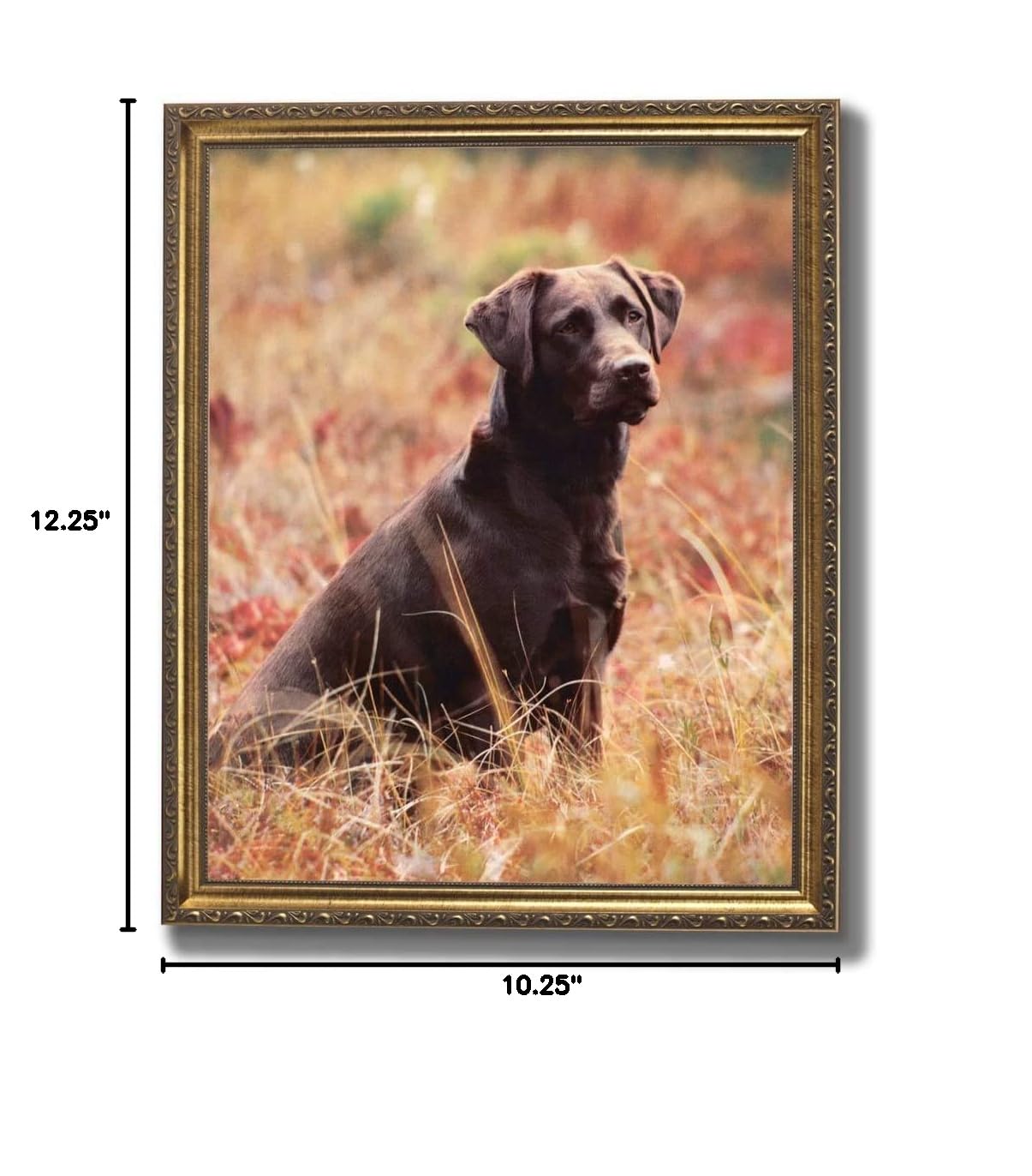 8x10 Inch Gold Framed Chocolate Lab Puppy Dog Wall Art Print - Perfect for Kids' Room Decor, Nursery, Playroom & Animal Lover Gifts