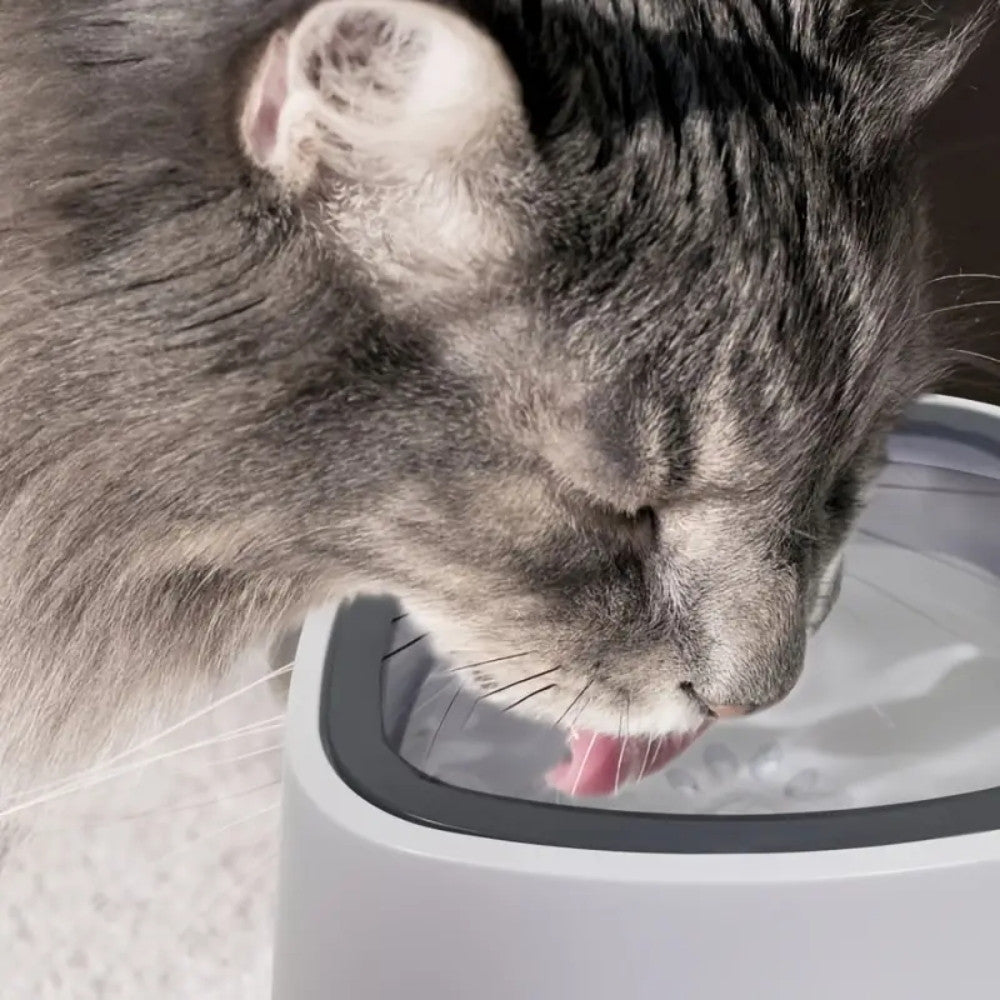 Anti-Slip Slow Feeder Pet Bowl for Dogs & Cats - No Splash Water & Food Dispenser - Perfect for Mess-Free Feeding & Hydration at Home or Travel