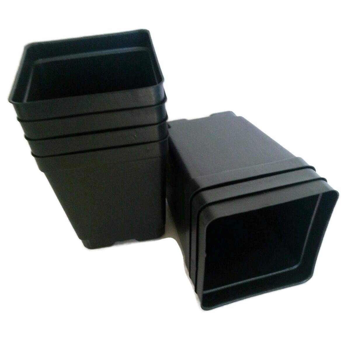 Square Quart Nursery Pots - 4.25