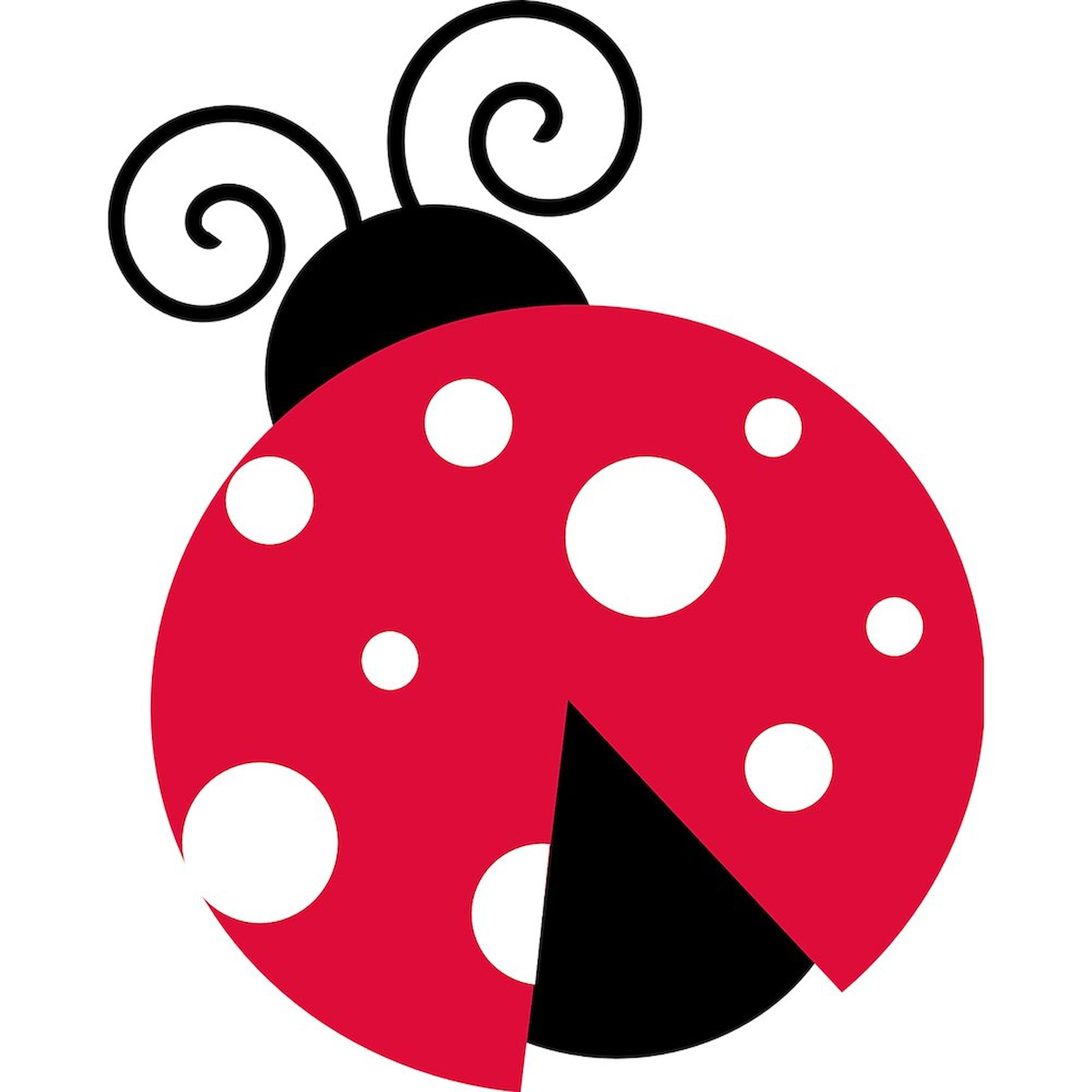 Large Ladybug Car Bumper Sticker - Oval Decal for Cars & Laptops