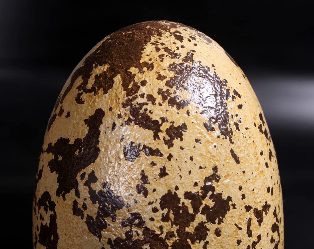 LM Treasures Small Theropod Dinosaur Egg Life-Size Replica - Perfect for Dinosaur Enthusiasts, Home Decor & Educational Displays