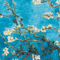 02 Blossom