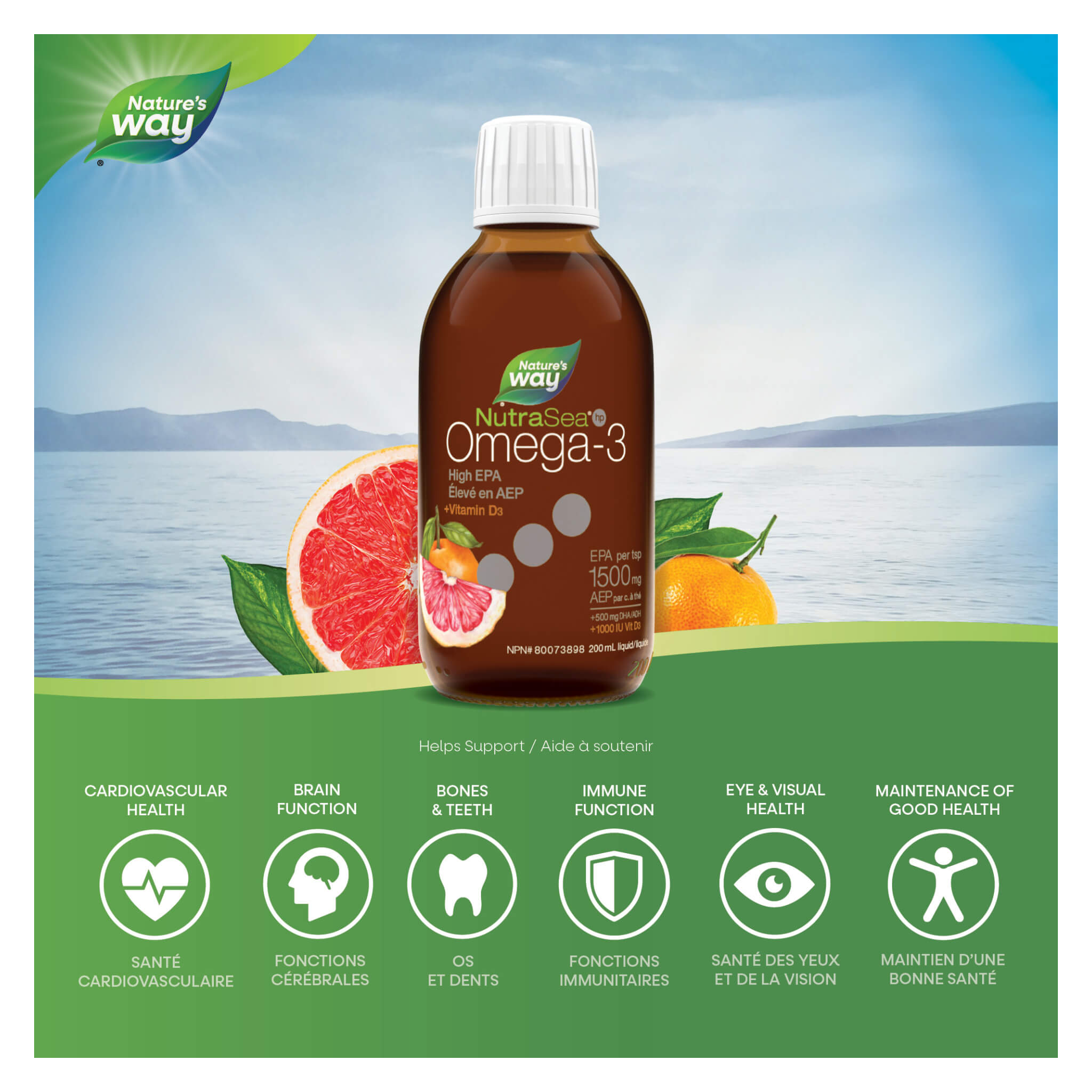 NutraSea HP+D High EPA Omega 3 Fish Oil Supplement - Grapefruit Tangerine Flavor for Heart & Brain Health - Supports Joint Function & Immune System - Ideal for Active Lifestyles & Wellness Routines