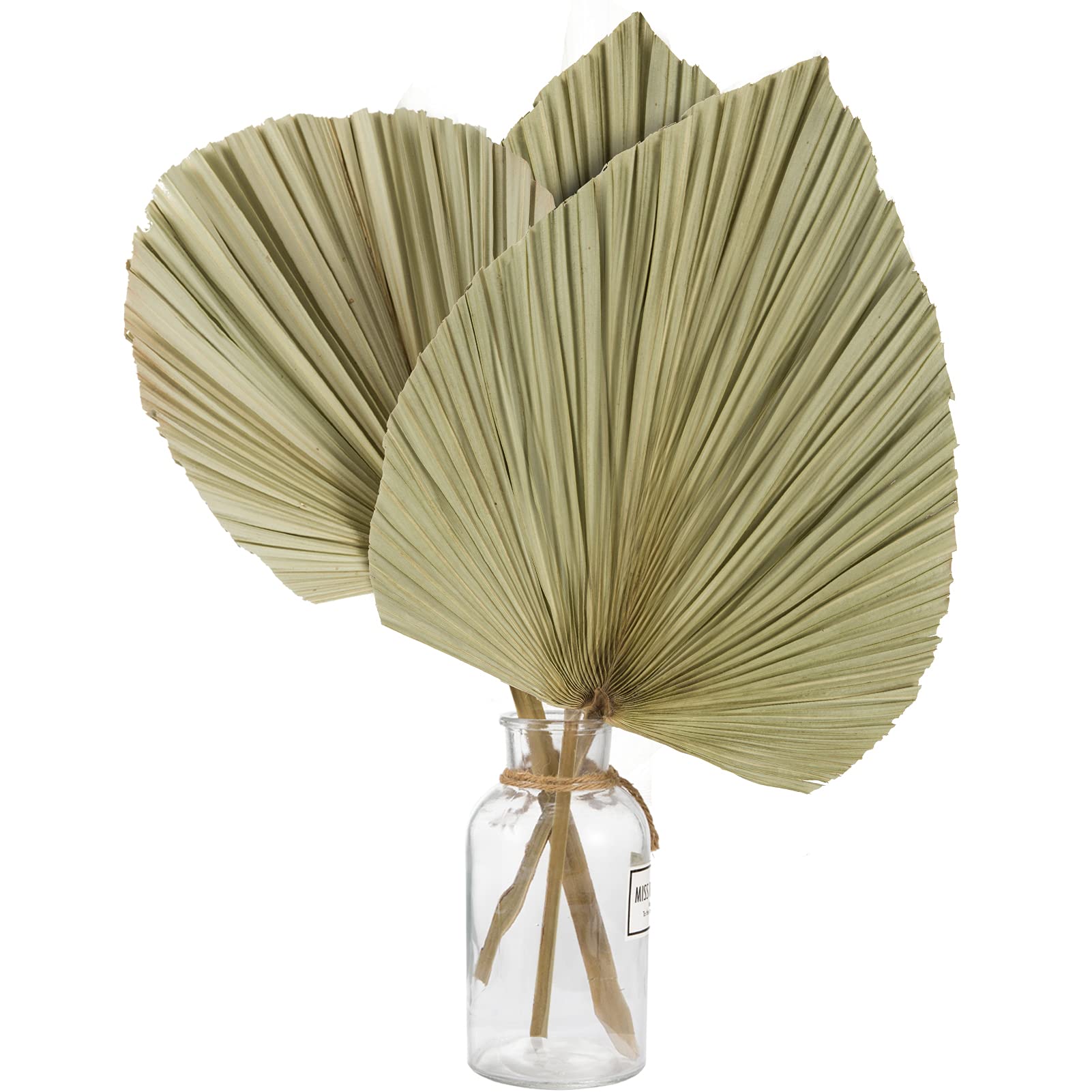 3 Pack Large Natural Dried Palm Leaf Fans - 2 Heart Shaped Handheld Fans + Round Spear Cut Palm Bunch | Boho Wall Decor, Wedding Party Favors, Home Decoration for Living Room, Bedroom & Outdoor Events