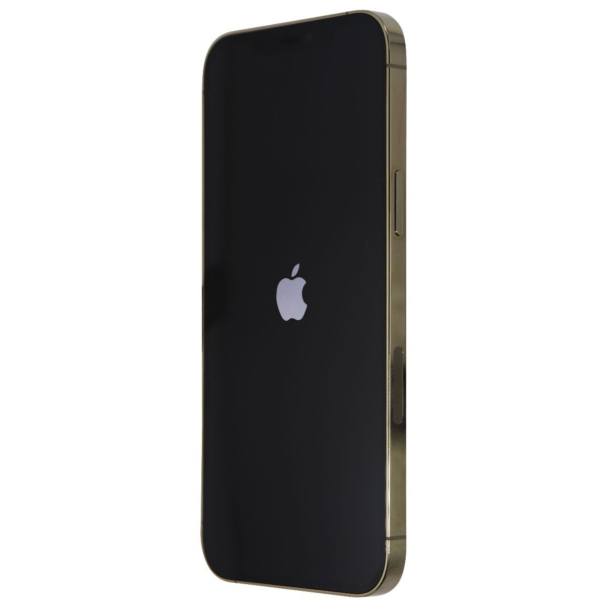 Apple iPhone 12 Pro Max 6.7