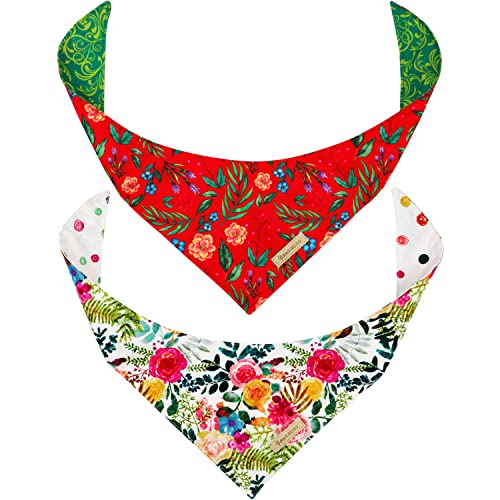 Vintage Red Floral & Spring Colors (2 Reversible Bandanas)