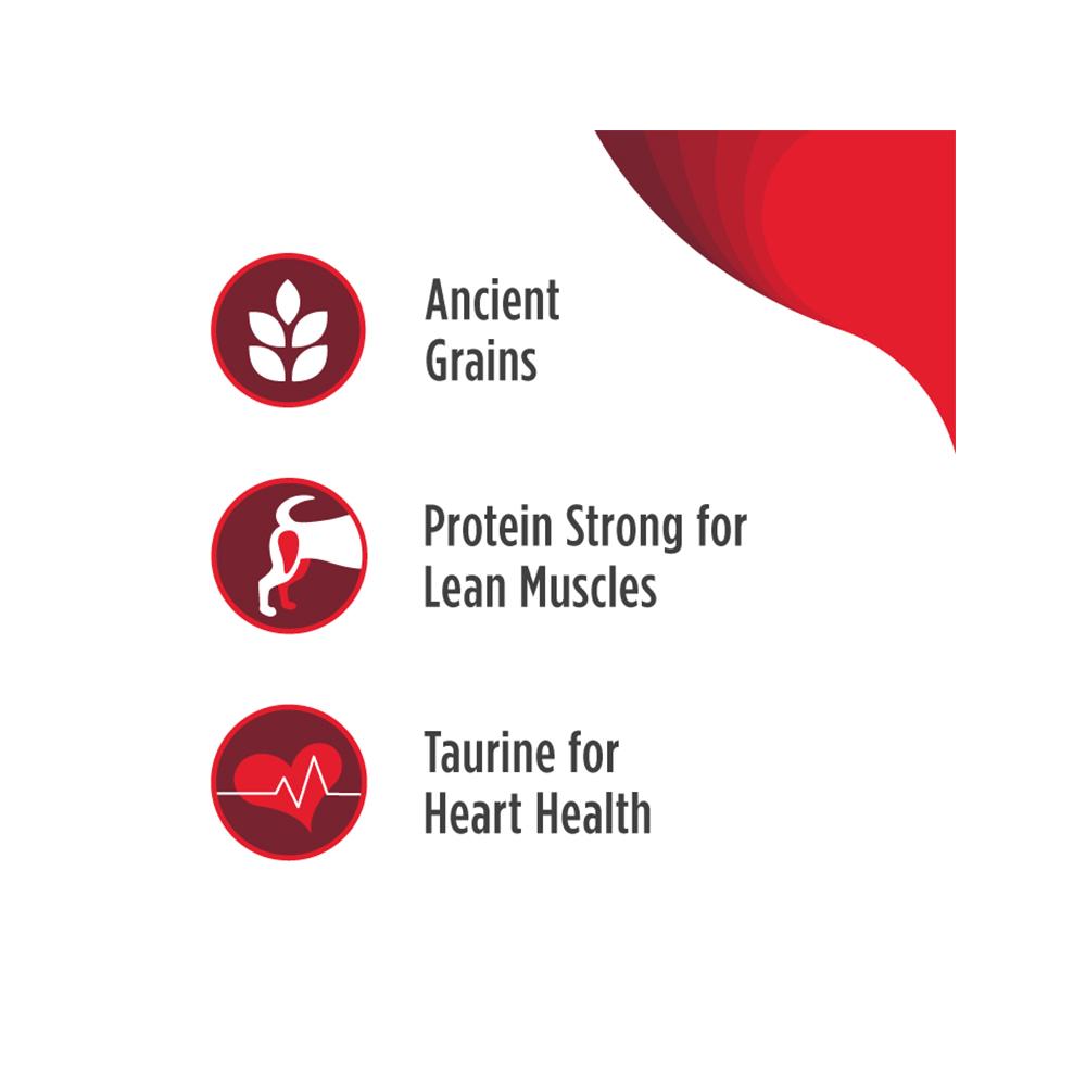 Premium FrontRunner Adult Beef, Barley & Lamb Dry Dog Food - High Protein Grain-Inclusive Kibble for Active Dogs - Perfect for Daily Meals & Training Rewards
