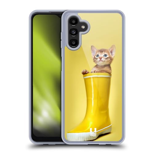 Abyssinian Kitty In A Boot