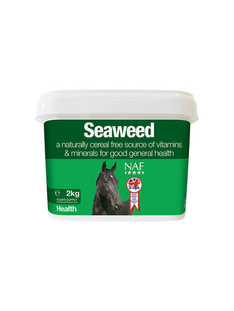 Organic Nori Seaweed Sheets - Premium Roasted Sushi Nori for Homemade Sushi, Snacks & Asian Cooking - Rich in Iodine & Minerals - Perfect for Sushi Rolls, Onigiri & Salad Toppings