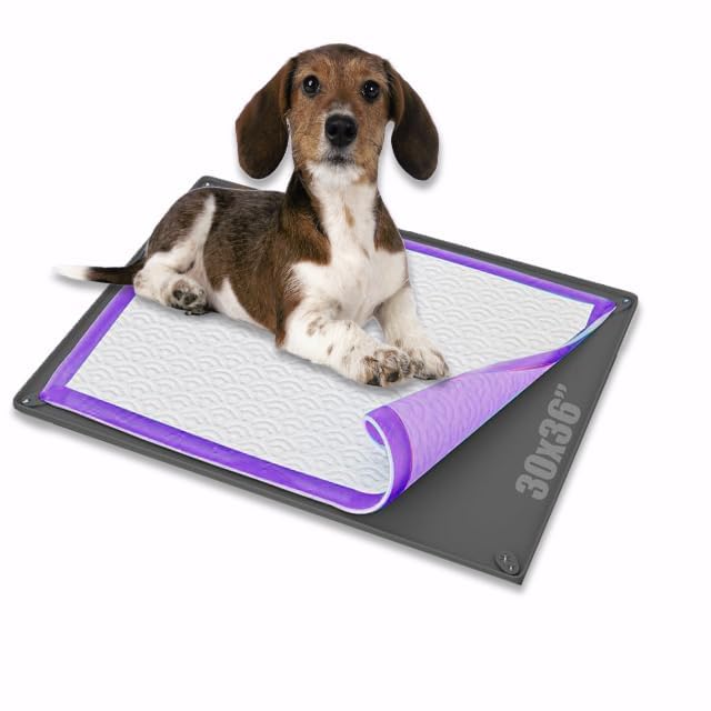 Skywin 30 x 36 Inch Non-Slip Silicone Dog Pad Holder Tray (Grey) - Puppy Training Pee Pad Holder, Waterproof Pet Supplies for Indoor/Outdoor Use - Perfect for Puppies, Senior Dogs & Housebreaking Training