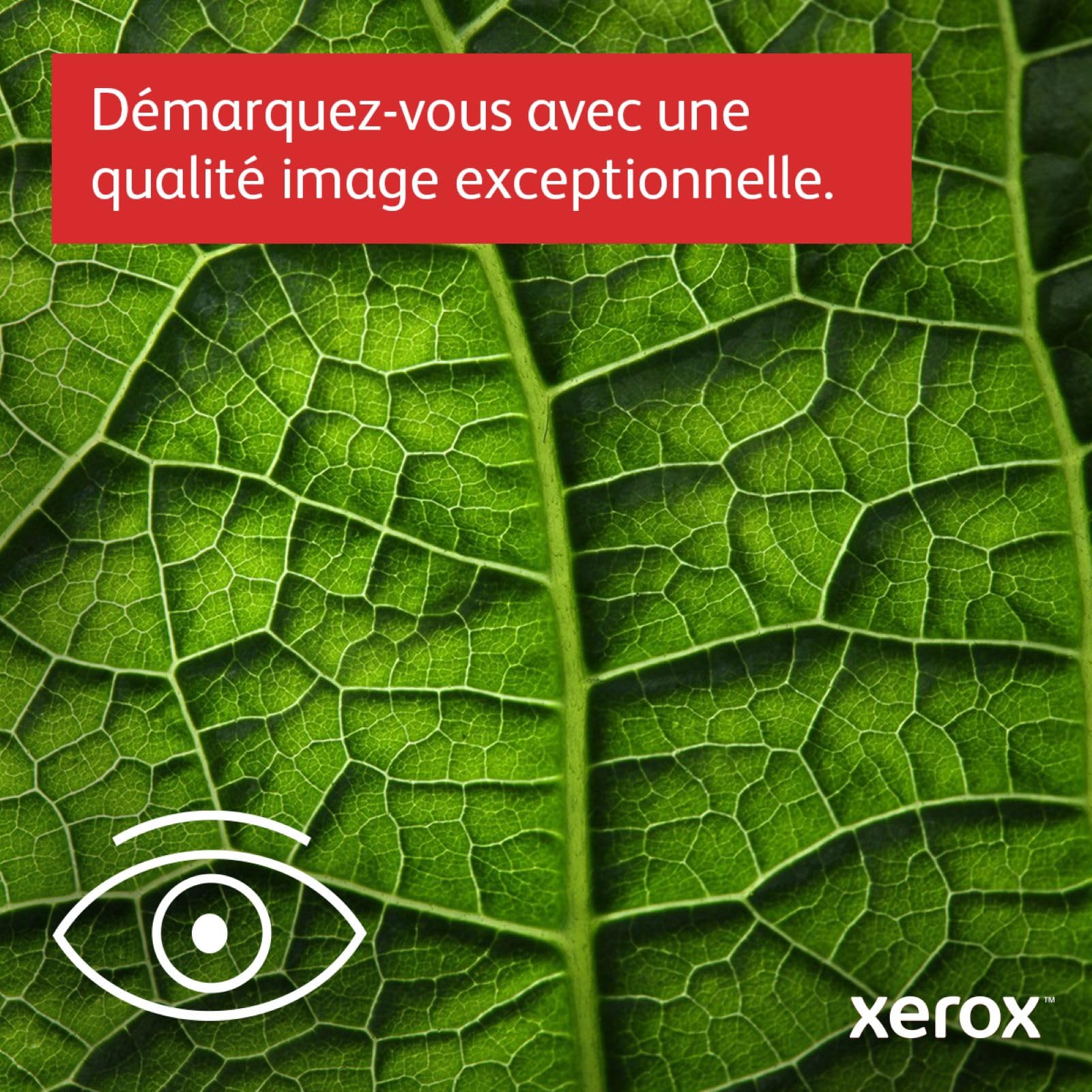 Xerox C235V_DNI Color Multifunction Printer - Copy, Scan, Fax & Print | Wireless Office Printer for Home & Small Business Use