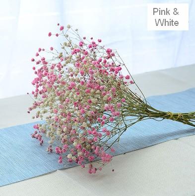 A bunch pink & white babys breath  (about 15 stems)