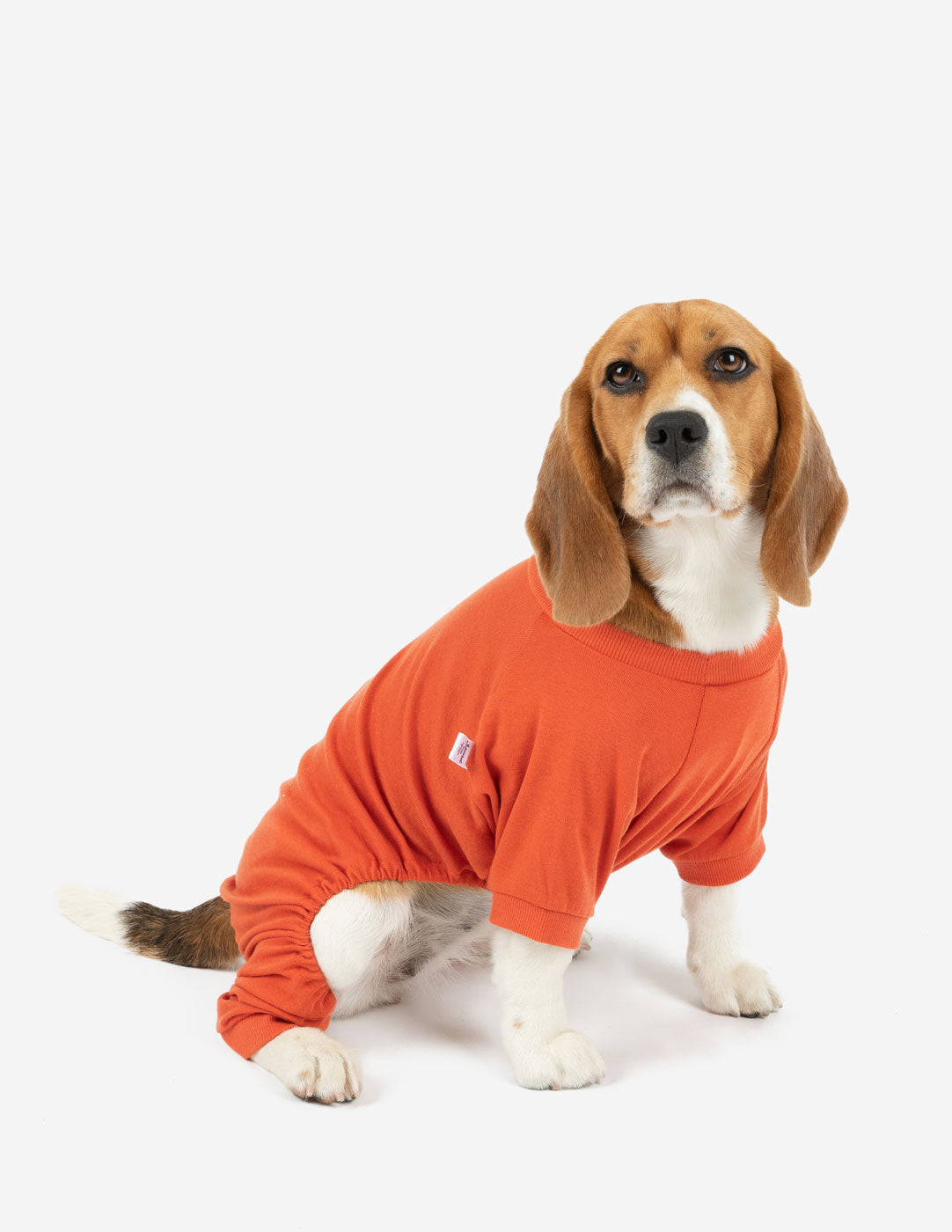 Premium Dog Pajamas - Classic Solid Color Pet Sleepwear for Small Medium Large Dogs - Perfect for Indoor Lounging & Cozy Nights