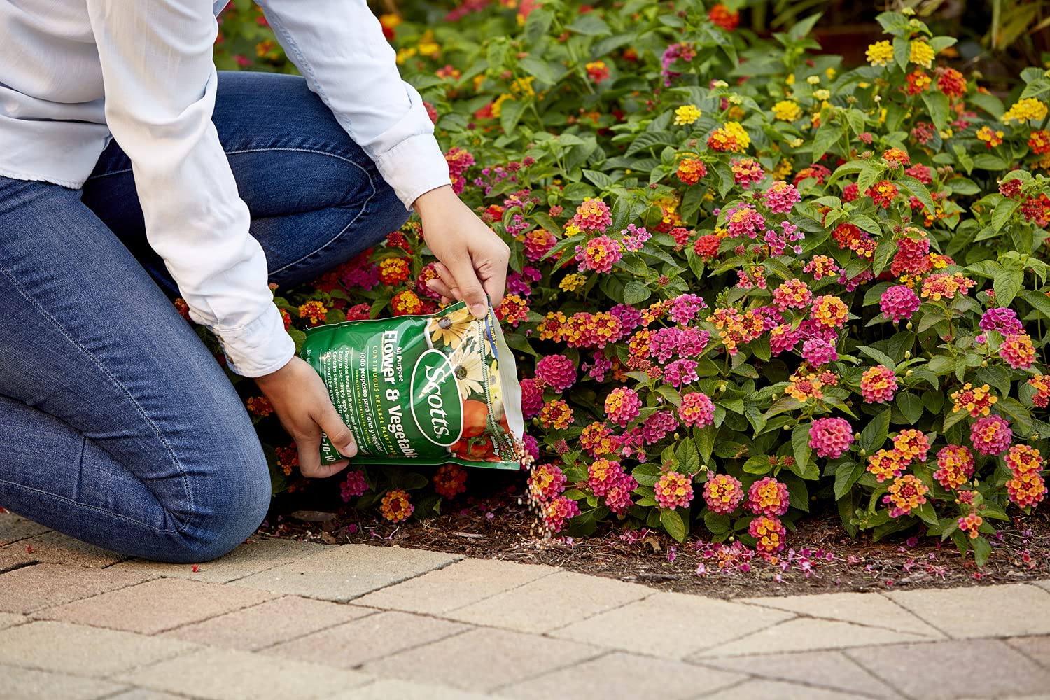 Scotts All Purpose Flower & Vegetable Continuous Release Plant Food - 3 lbs (6-Pack) - Organic Fertilizer for Indoor & Outdoor Gardening, Lawn Care, and Potted Plants