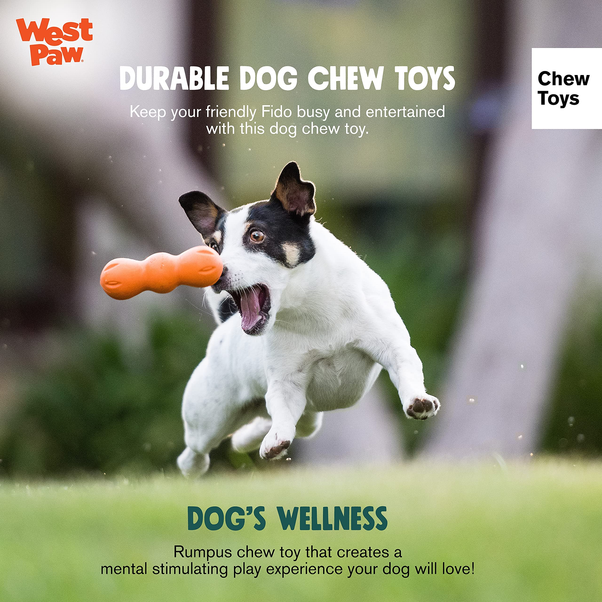 Zogoflex Rumpus Dog Chew Toy - Durable, Floatable for Fetch & Swimming - Aqua Blue
