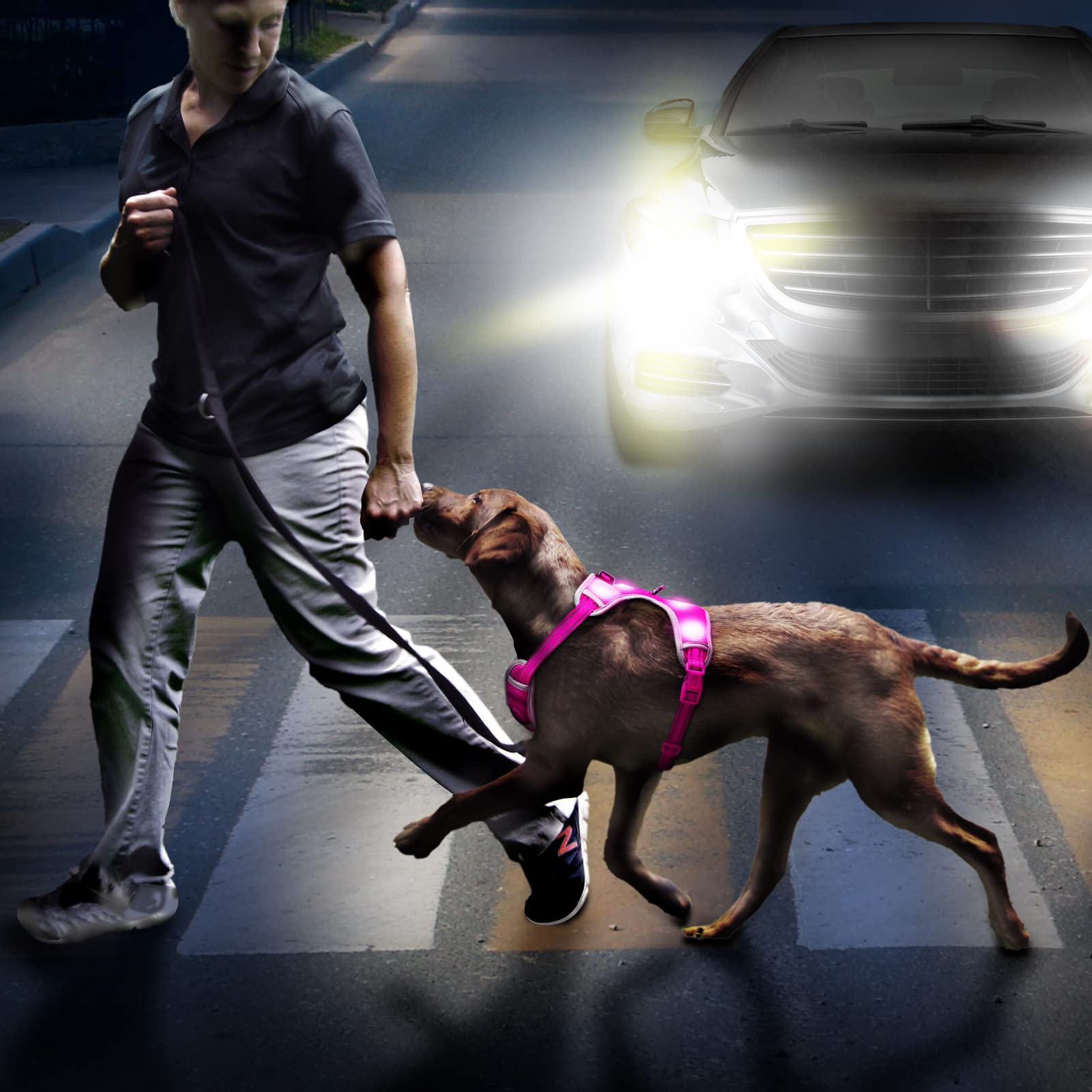 LED Dog Harness with Rechargeable Lights - Reflective Adjustable Puppy Vest for Small Dogs, Night Walking Safety Gear with Light Up Collar (Pink, Small) - Perfect for Evening Walks, Jogging & Outdoor Adventures