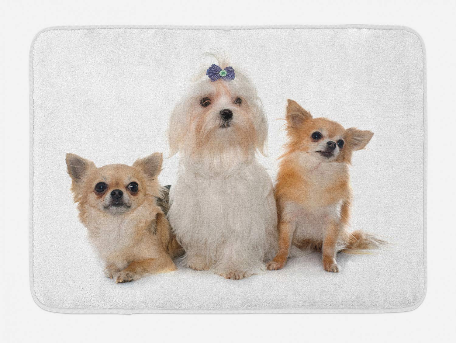 Ambesonne Non-Slip Plush Bath Mat with Chihuahua and Maltese Puppy Design - 30.2