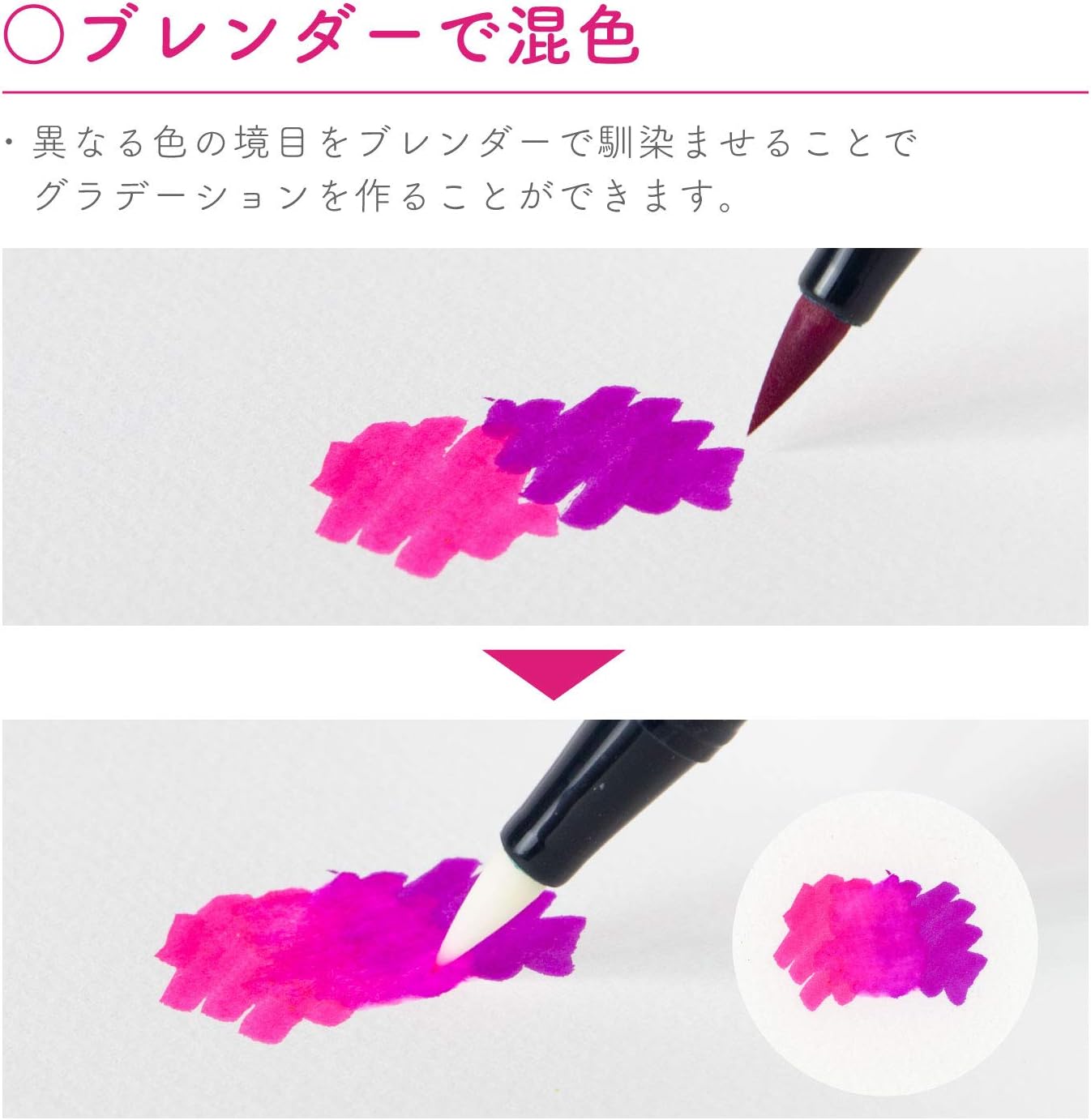 Tombow Dual Brush Pen Set - 12 Pastel Colors for Calligraphy, Hand Lettering & Art | Perfect for Hobonichi Planners, Bullet Journaling & DIY Craft Projects