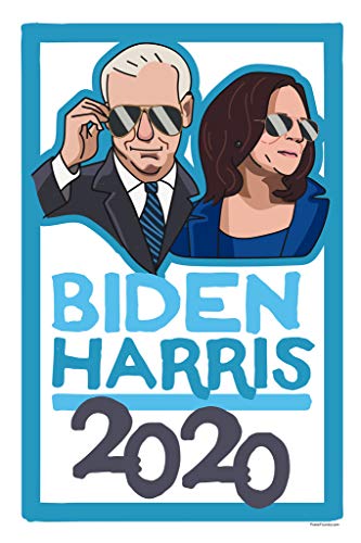 Biden Harris 2020 Shades | 13866