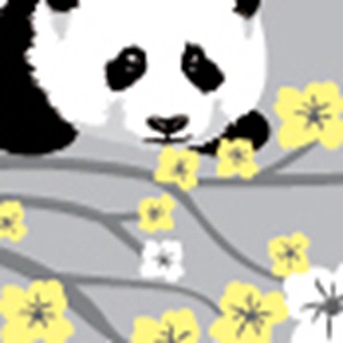 Yellow Grey With Panda